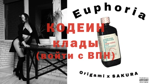 твердый Надым
