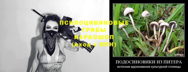 дмт Армянск