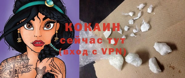 твердый Надым